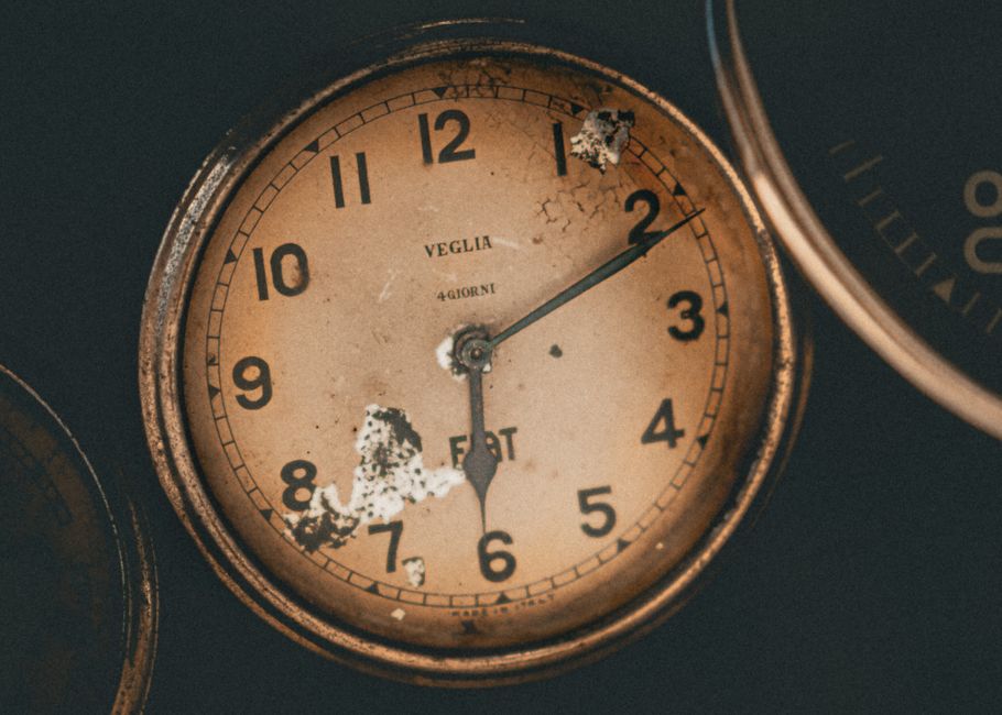How the Cuckoo Call Is Made: Whistles, Bellows, and Timing